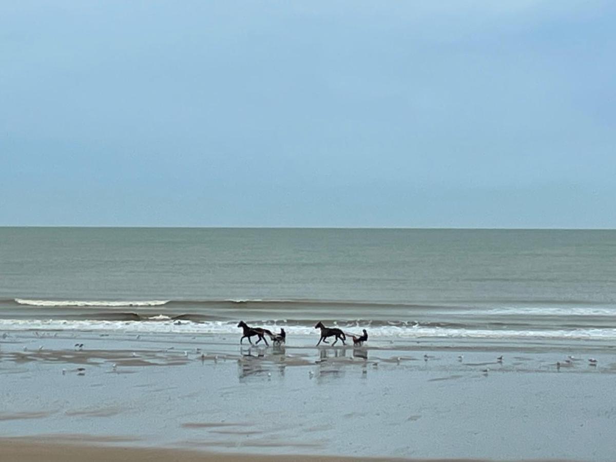 Agreable 2 Pieces. Face A La Mer. Cabourg Exteriér fotografie